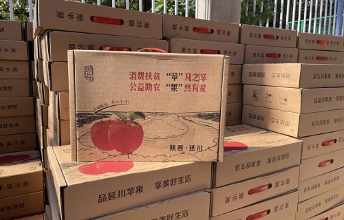 开云体育下载  “扶贫助农，振兴乡村”活动